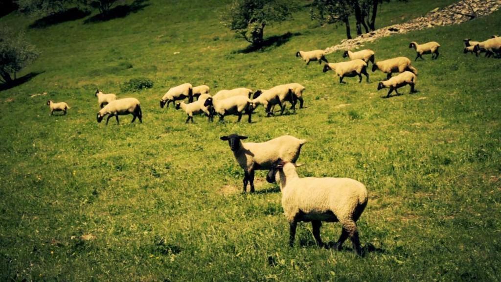 Ibis Budget Saint Jean De Maurienne Sainte-Marie-de-Cuines Zewnętrze zdjęcie